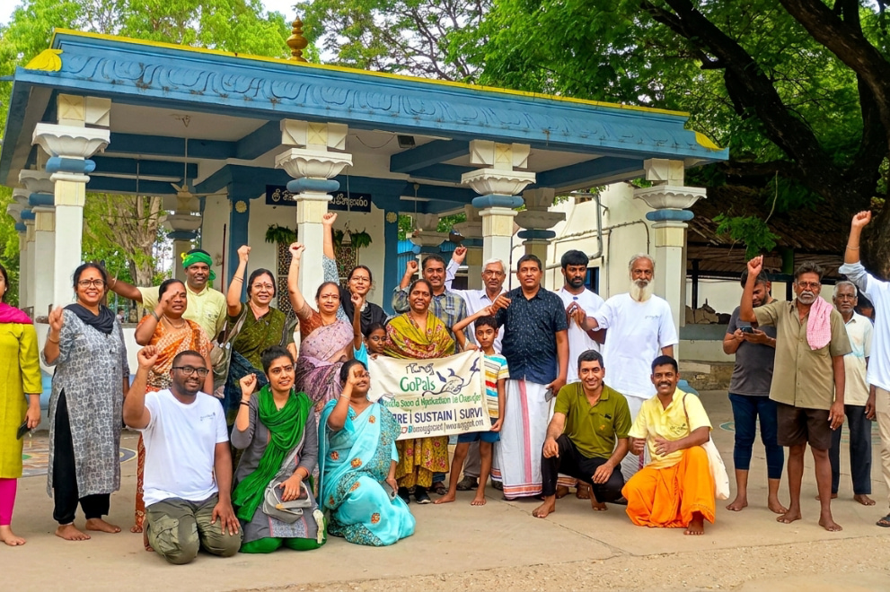 Goshala Cleaning & GoSunday Program